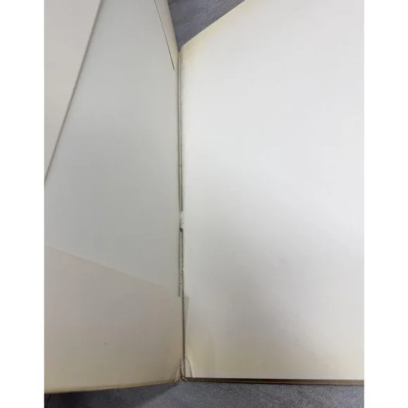 Vintage Picasso Peintures Époques Bleue Et Rose 1947 Ziai Art Softcover French